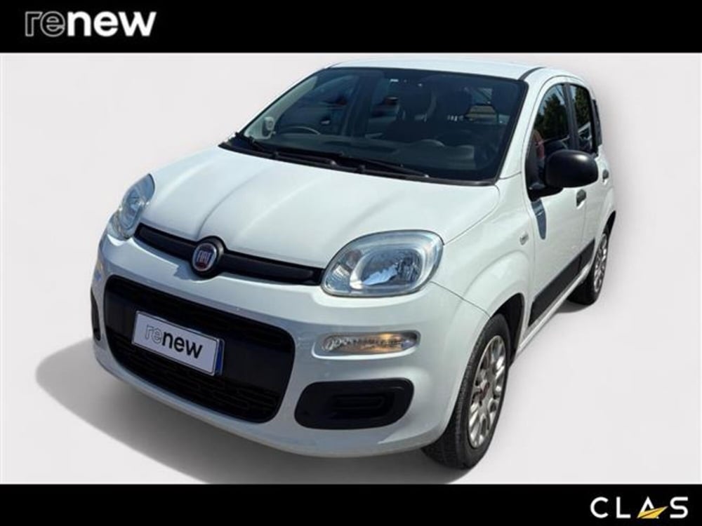 Fiat Panda usata a Livorno