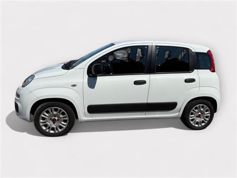 Fiat Panda usata a Livorno (2)