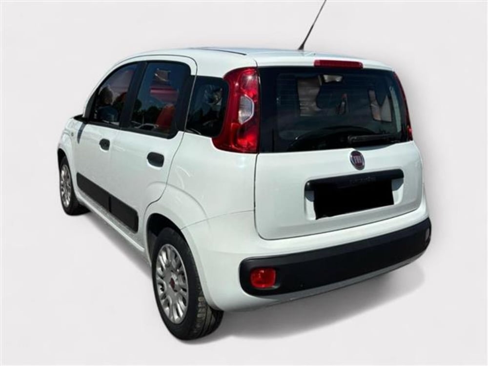 Fiat Panda usata a Livorno (3)