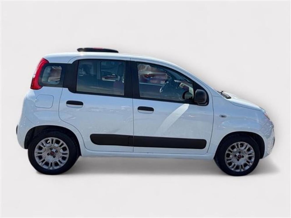 Fiat Panda usata a Livorno (6)