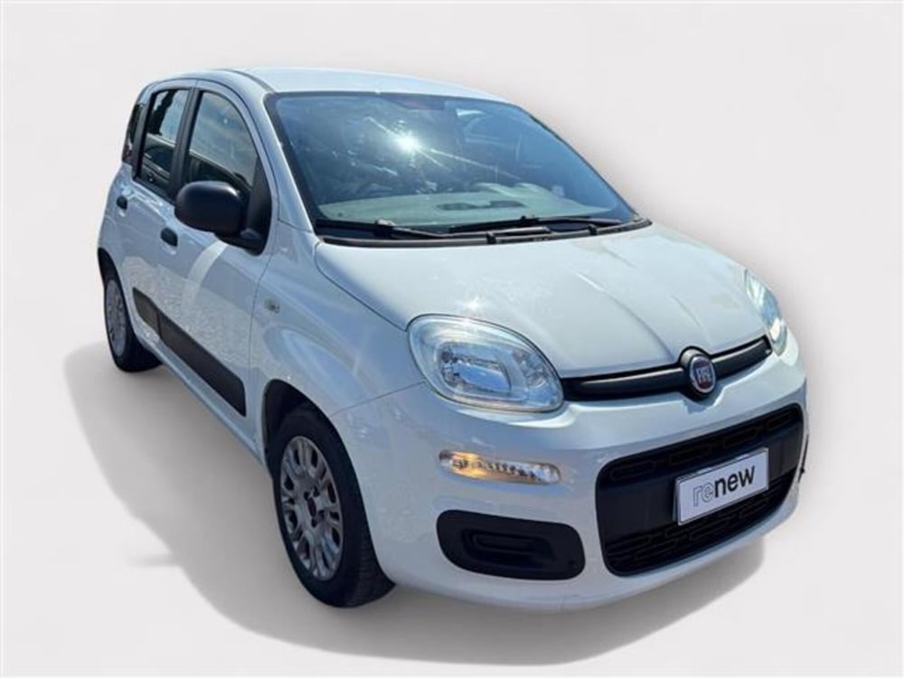 Fiat Panda usata a Livorno (7)