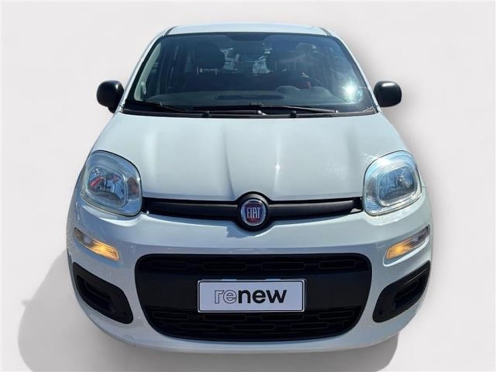 Fiat Panda usata a Livorno (8)
