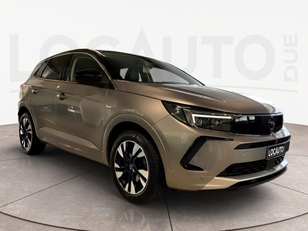 Opel Grandland usata a Torino (3)