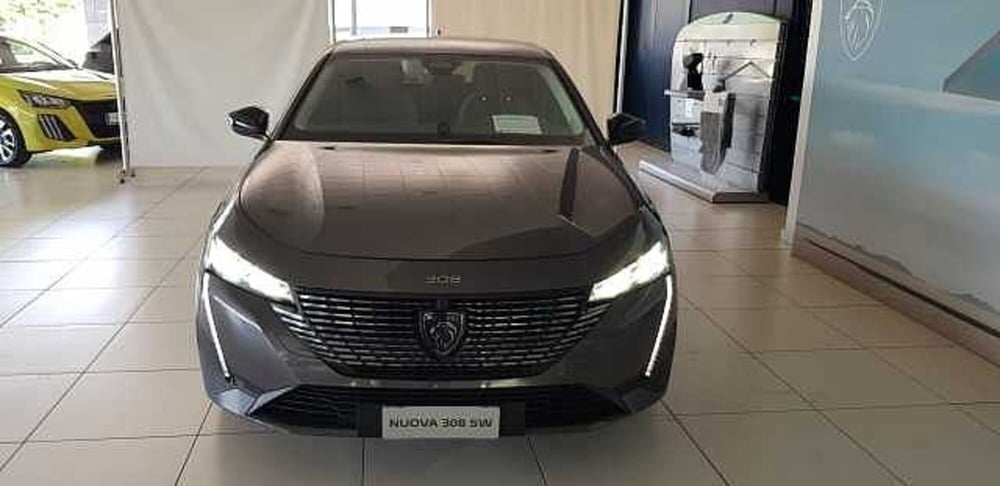 Peugeot 308 SW usata a Pordenone (2)