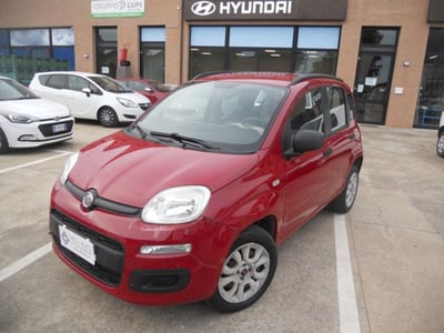 Fiat Panda 0.9 TwinAir Turbo Natural Power Easy del 2014 usata a Castelfranco di Sotto