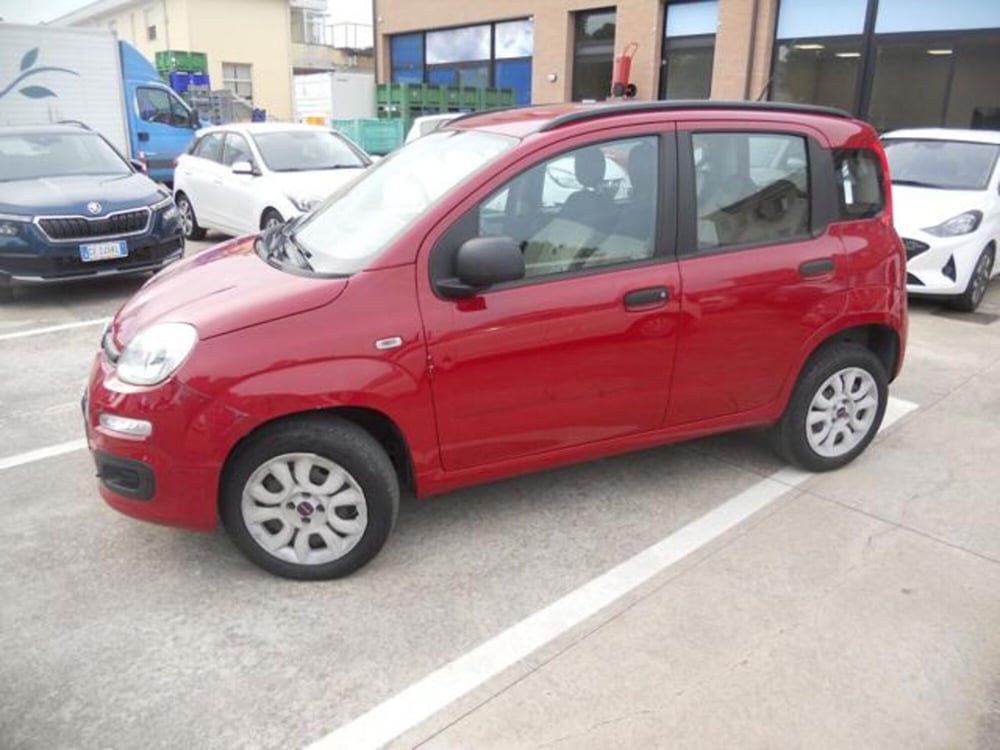 Fiat Panda usata a Pisa (2)