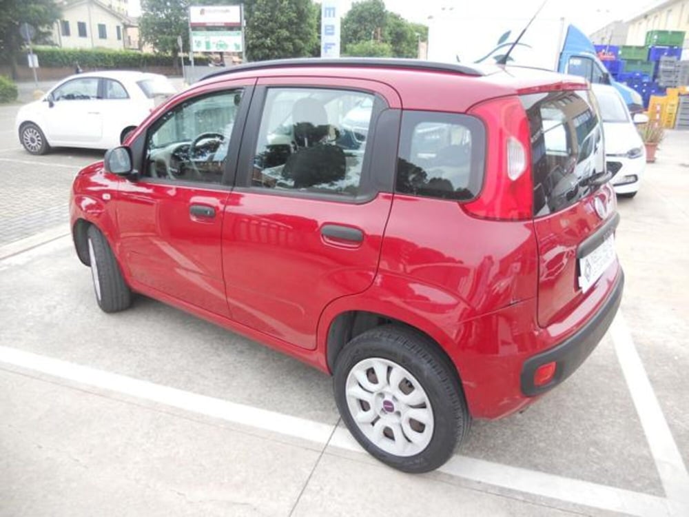 Fiat Panda usata a Pisa (3)
