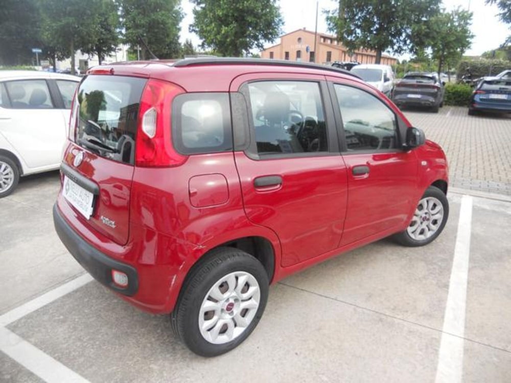 Fiat Panda usata a Pisa (5)