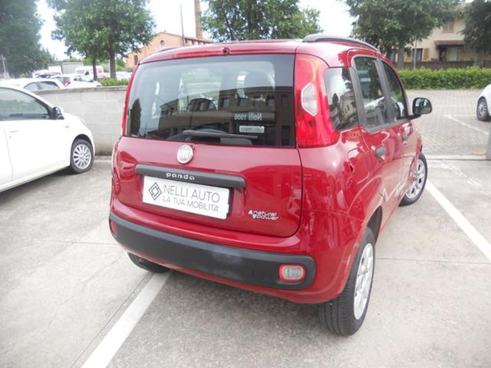 Fiat Panda usata a Pisa (6)