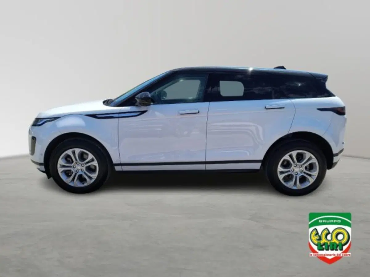 Land Rover Range Rover Evoque usata a Frosinone (3)