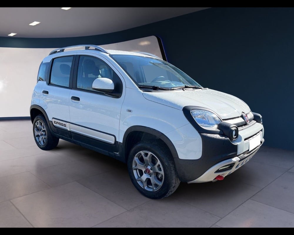 Fiat Panda usata a Torino (8)