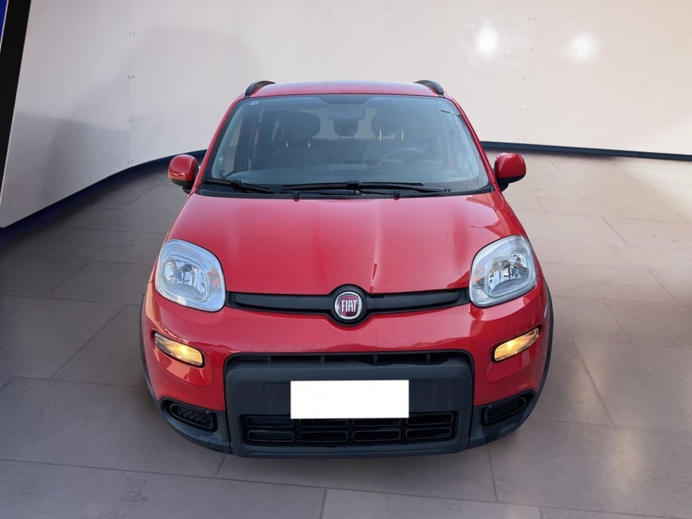 Fiat Panda usata a Torino
