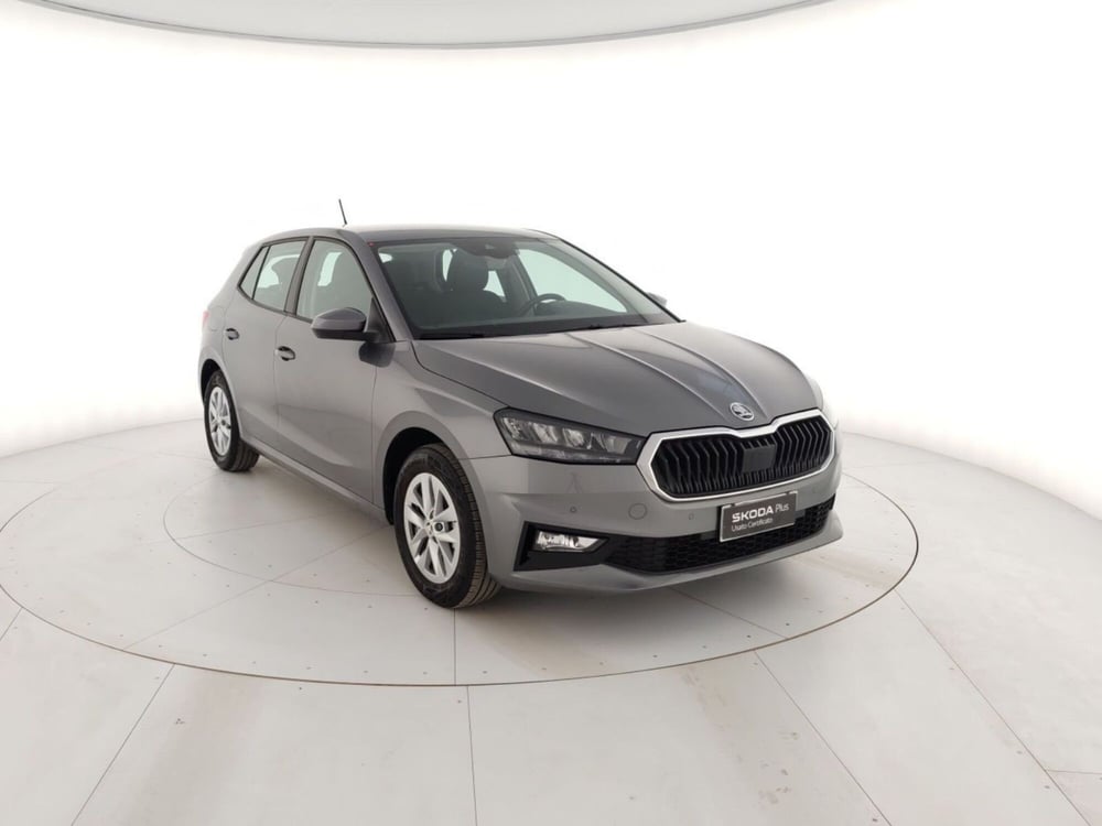 Skoda Fabia usata a Massa-Carrara (4)