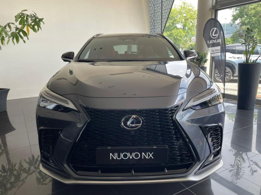Lexus NX nuova a Perugia (2)