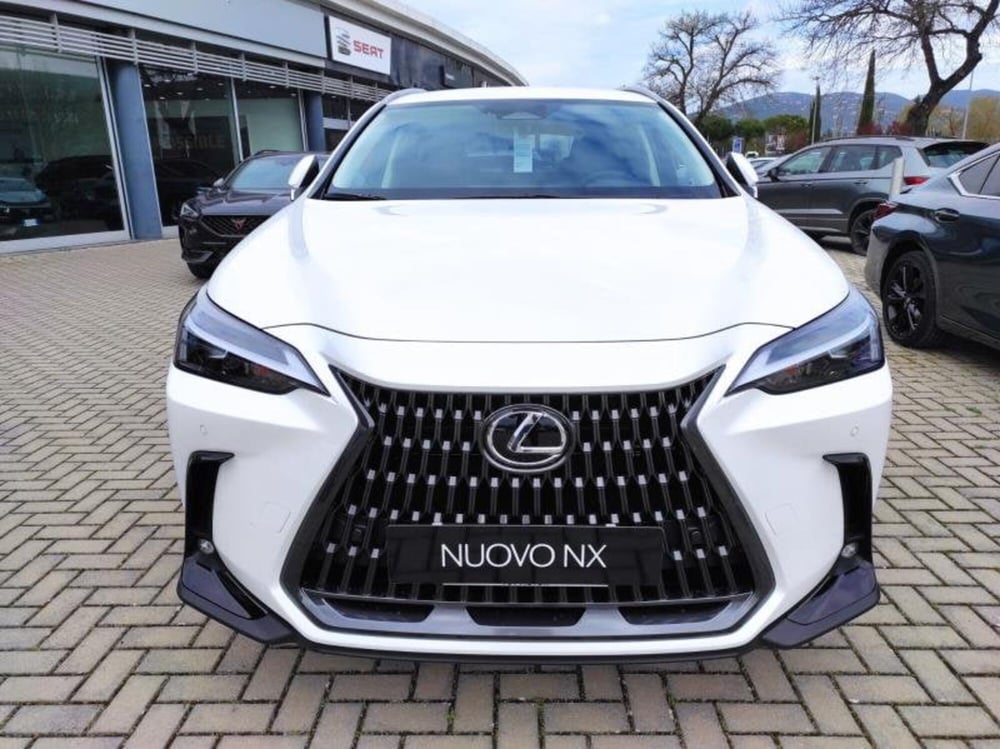Lexus NX nuova a Perugia (2)
