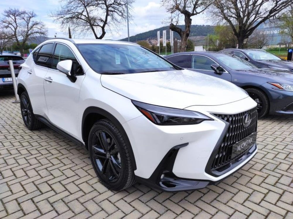 Lexus NX nuova a Perugia (3)