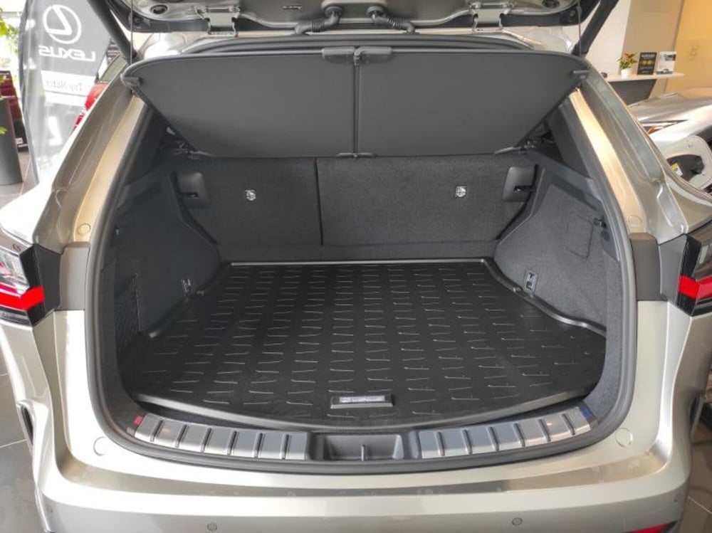 Lexus NX nuova a Perugia (15)