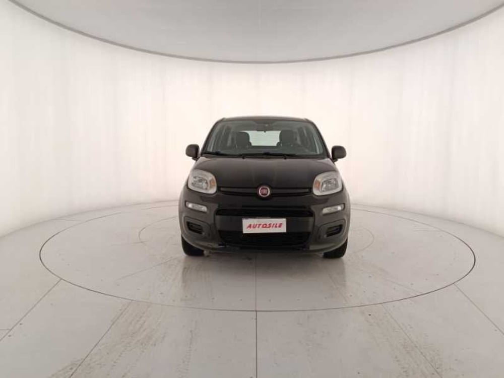 Fiat Panda usata a Treviso (2)
