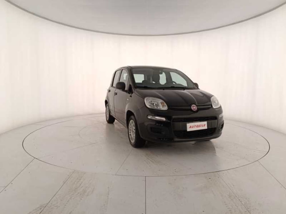 Fiat Panda usata a Treviso (3)