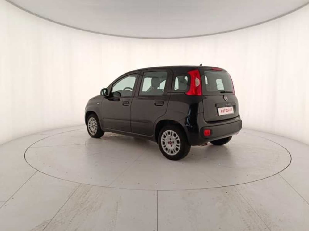 Fiat Panda usata a Treviso (4)