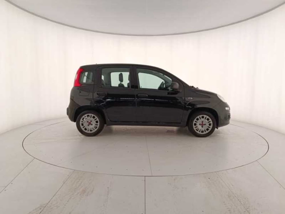 Fiat Panda usata a Treviso (7)