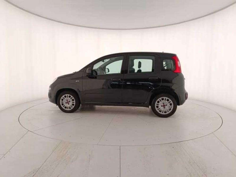 Fiat Panda usata a Treviso (8)