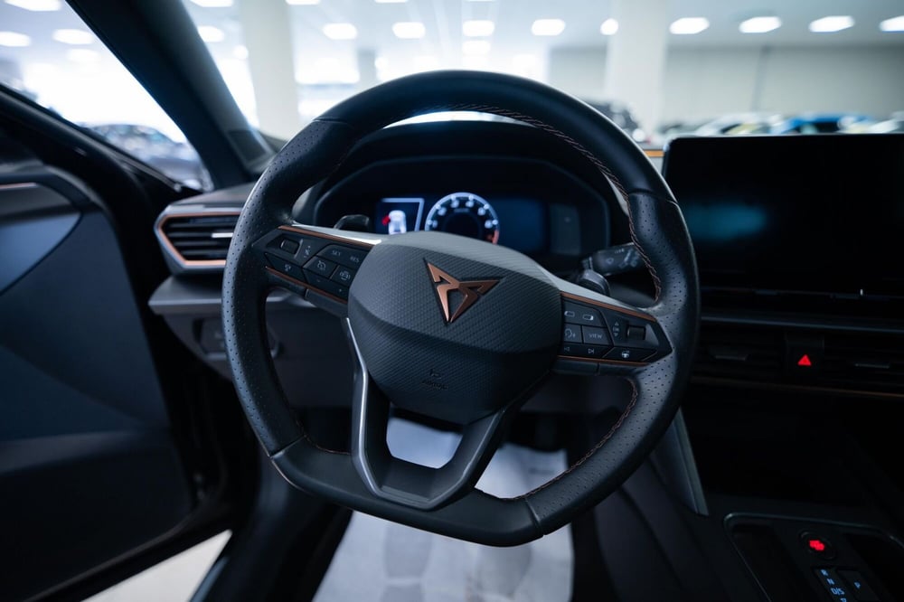 Cupra Formentor usata a Torino (11)