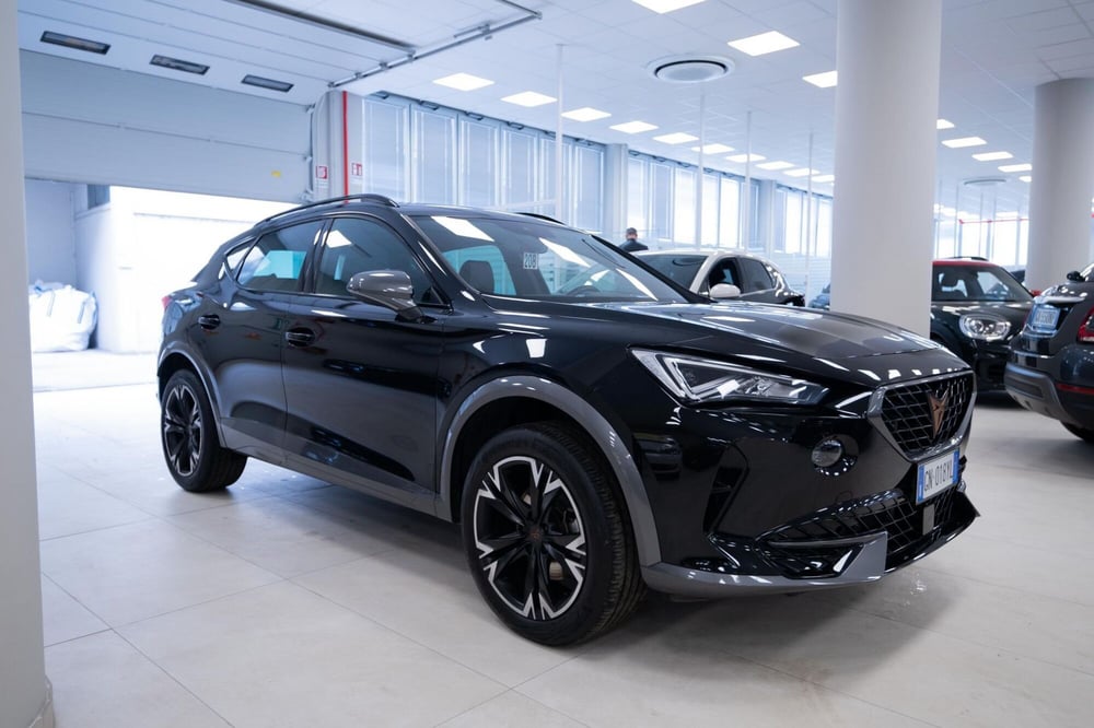Cupra Formentor usata a Torino (16)