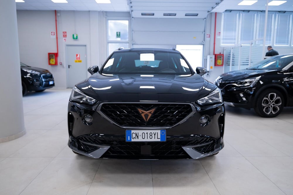Cupra Formentor usata a Torino (4)