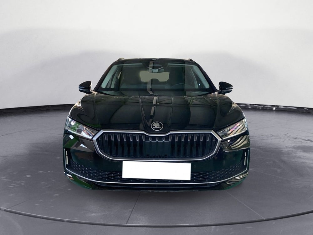 Skoda Superb usata a Reggio Calabria (5)