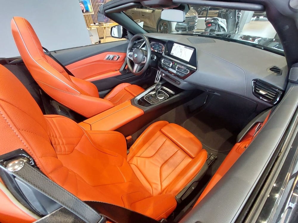 BMW Z4 Cabrio usata a Frosinone (14)