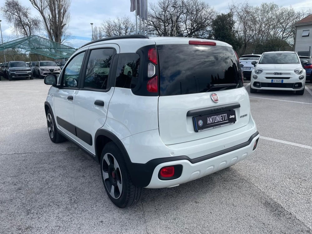 Fiat Panda Cross usata a Ancona (7)