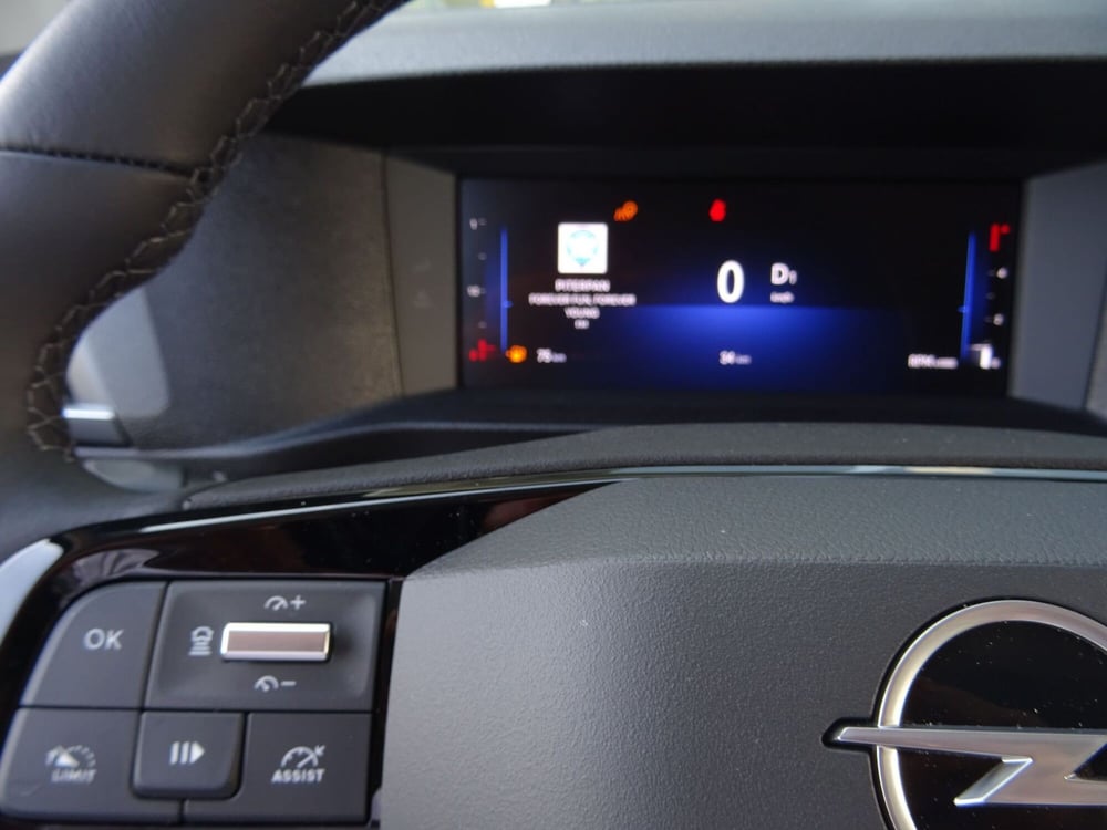 Opel Zafira Life nuova a Venezia (18)