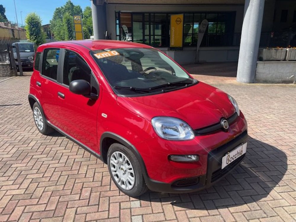 Fiat Panda Cross nuova a Brescia (3)