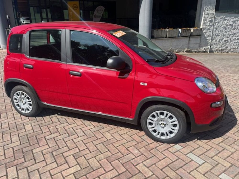 Fiat Panda Cross nuova a Brescia (4)