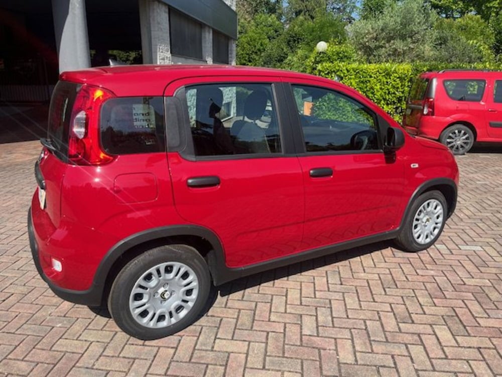 Fiat Panda Cross nuova a Brescia (5)