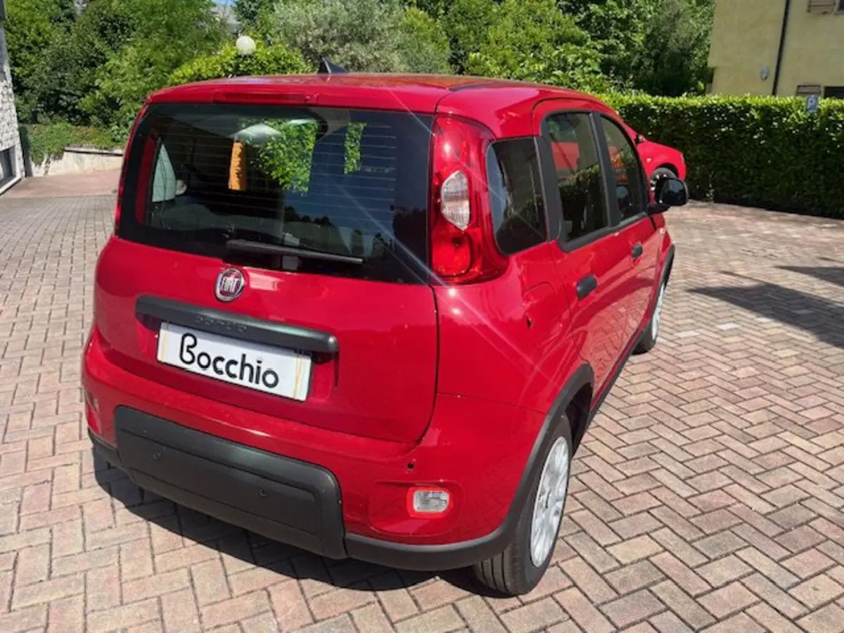 Fiat Panda Cross nuova a Brescia (6)