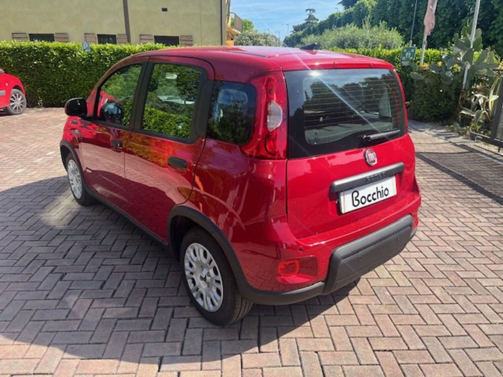 Fiat Panda Cross nuova a Brescia (8)