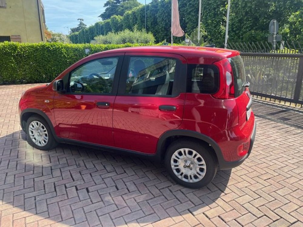 Fiat Panda Cross nuova a Brescia (9)