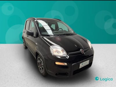 Fiat Panda 1.0 firefly hybrid s&amp;s 70cv 5p.ti del 2022 usata a Biella