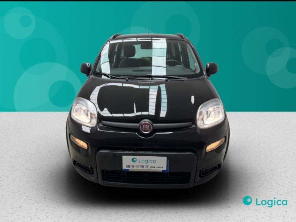 Fiat Panda usata a Biella (2)