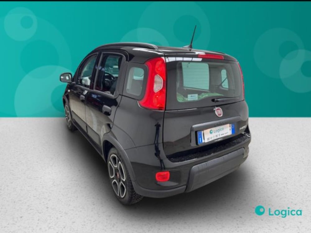 Fiat Panda usata a Biella (3)