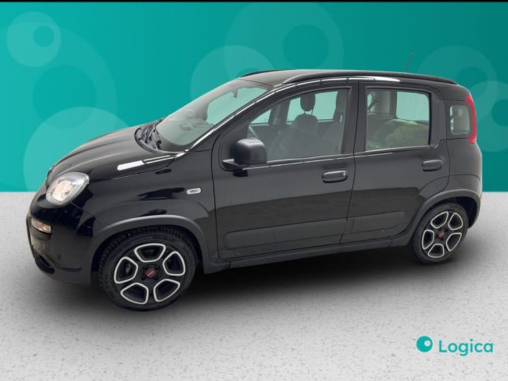 Fiat Panda usata a Biella (6)