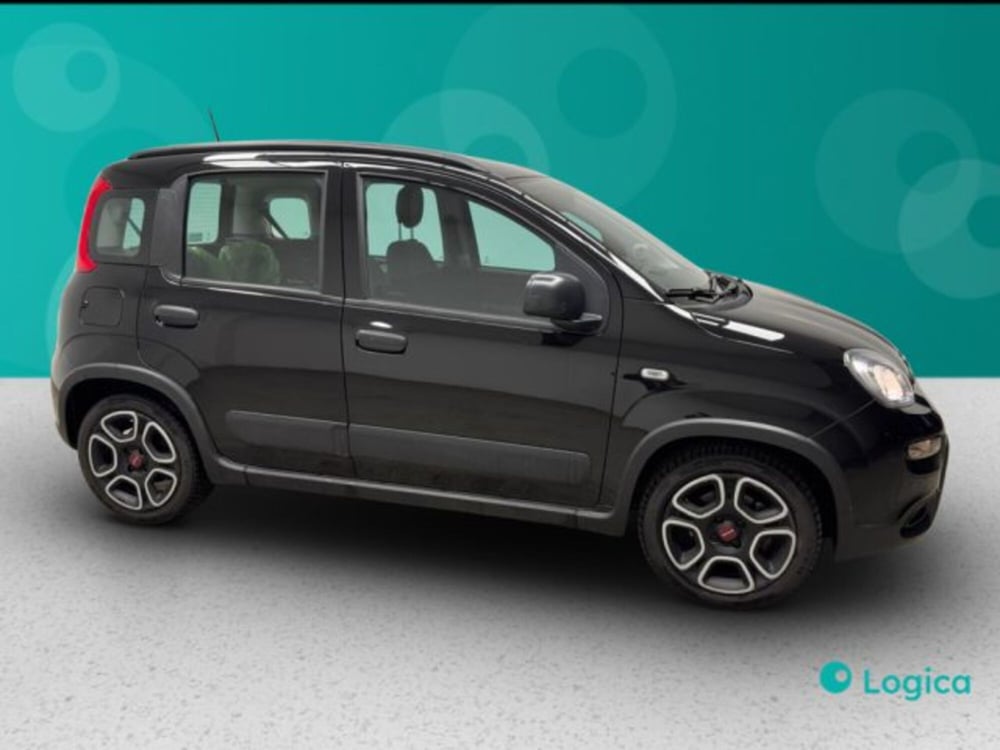 Fiat Panda usata a Biella (8)