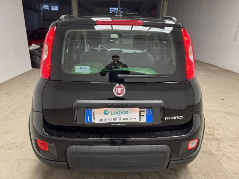 Fiat Panda usata a Biella (9)