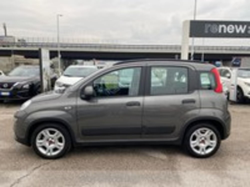 Fiat Panda usata a Udine (2)