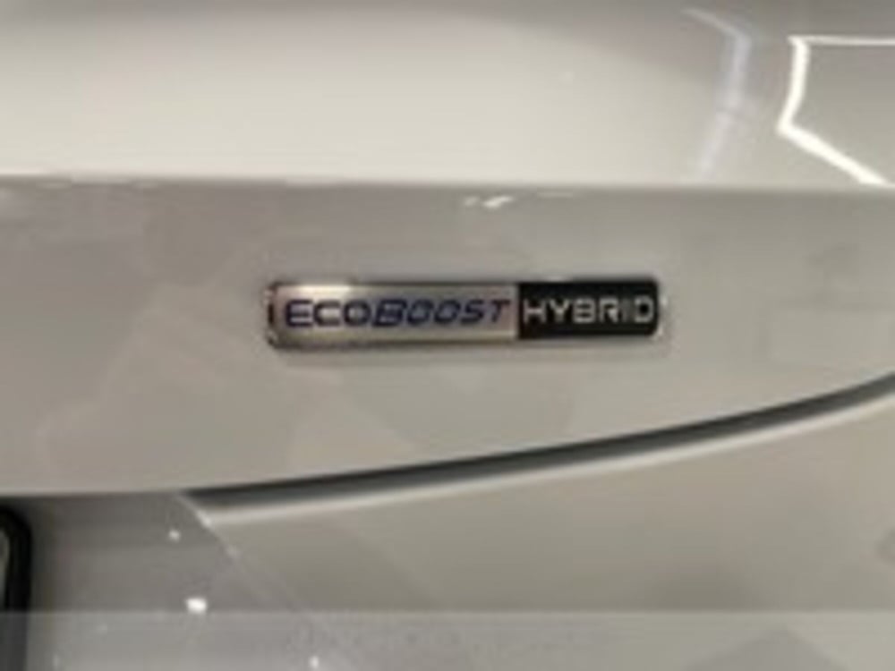 Ford Puma usata a Udine (9)