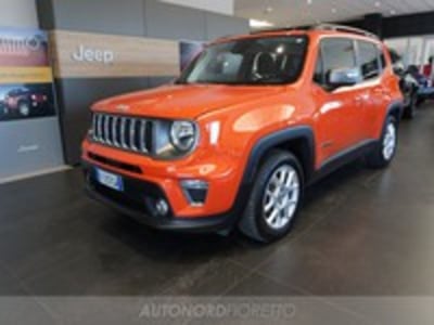 Jeep Renegade 1.6 Mjt DDCT 120 CV Limited del 2018 usata a Reana del Rojale