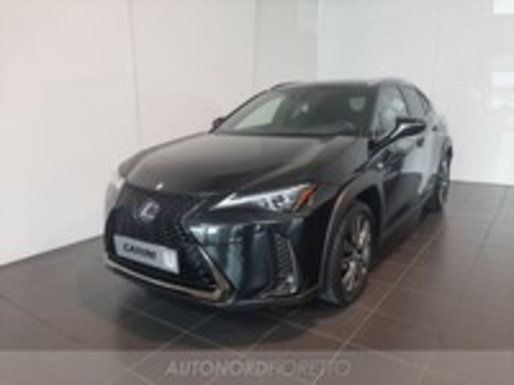 Lexus UX usata a Udine