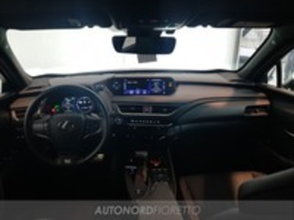 Lexus UX usata a Udine (13)